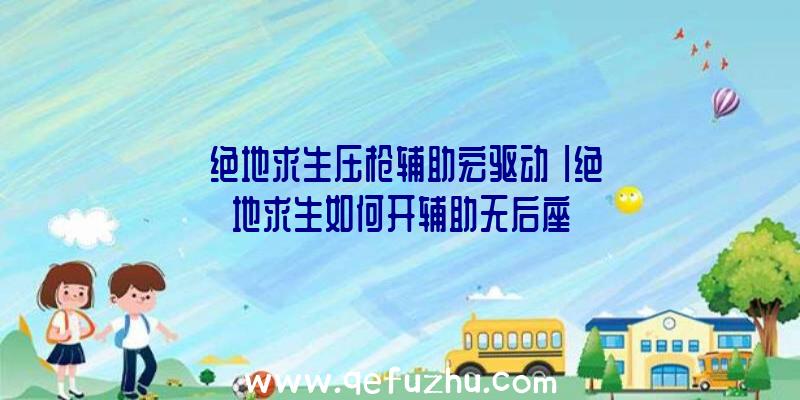 「绝地求生压枪辅助宏驱动」|绝地求生如何开辅助无后座